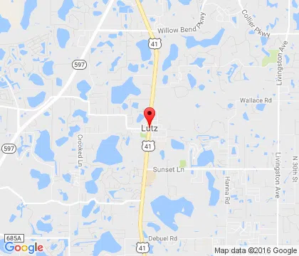 logo-image - Lutz-FL